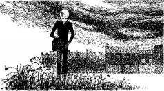 Терри на ограде - pic_3.jpg