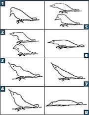 Журнал «Компьютерра» N 27-28 от 25 июля 2006 года - pic_16.jpg