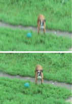 Журнал «Компьютерра» N 34 от 18 сентября 2006 года - pic_59.jpg