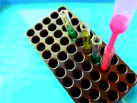 Журнал «Компьютерра» N 33 от 12 сентября 2006 года - pic_15.jpg