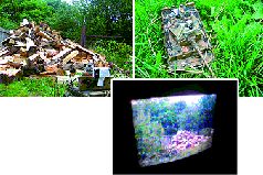 Журнал «Компьютерра» N 32 от 5 сентября 2006 года - pic_57.jpg