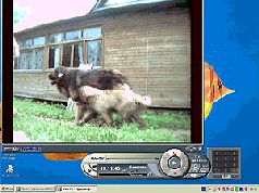 Журнал «Компьютерра» N 32 от 5 сентября 2006 года - pic_61.jpg