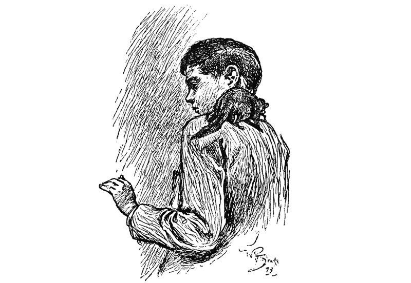 Rikki-Tikki-Tavi - i000000170000.jpg