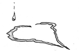 Historias De Los Se?ores Moc Y Poc - pic_4.jpg