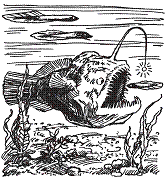 Удивительная биология - pic_10.png