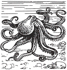 Удивительная биология - pic_15.png