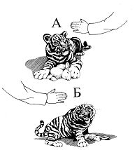 Волк. Вопросы онтогенеза поведения, проблемы и метод реинтродукции - i_019.jpg
