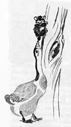 Рекся и Пуцек - img024.jpg