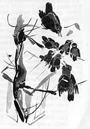 Рекся и Пуцек - img052.jpg