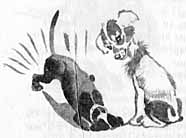 Рекся и Пуцек - img069.jpg