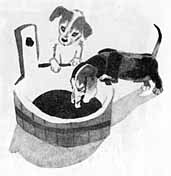 Рекся и Пуцек - img070.jpg