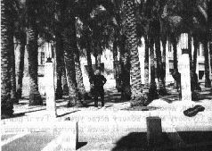 Прогулки по Иерусалиму - pic_64.jpg