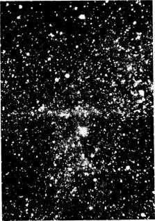 Билейские основы современной науки - pic_8.jpg