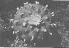 Штурмуя небеса - Any2FbImgLoader19