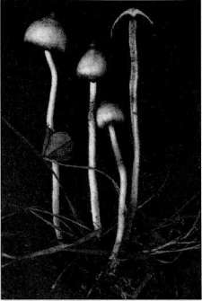 Штурмуя небеса - Any2FbImgLoader31