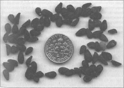 Штурмуя небеса - Any2FbImgLoader59