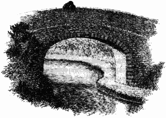 Тоуд-триумфатор - i_008.png