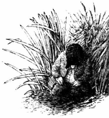 Тоуд-триумфатор - i_010.png