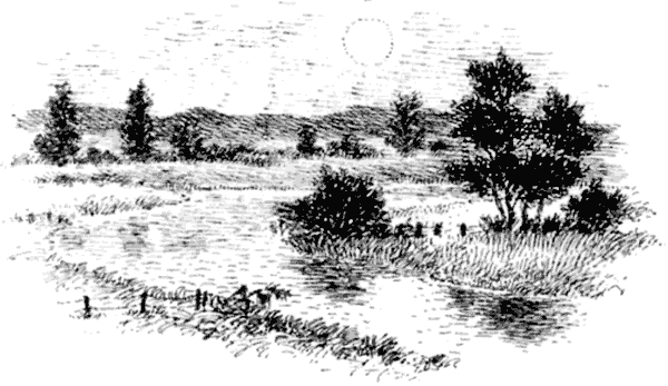 Сказки под ивами - i_003.png