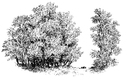 Сказки под ивами - i_066.png