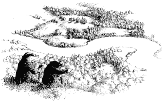 Сказки под ивами - i_081.png