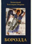 Борозда - pic_1.jpg