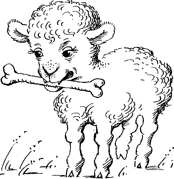 ПОИСКИ ИСТИНЫ - pic_13.png