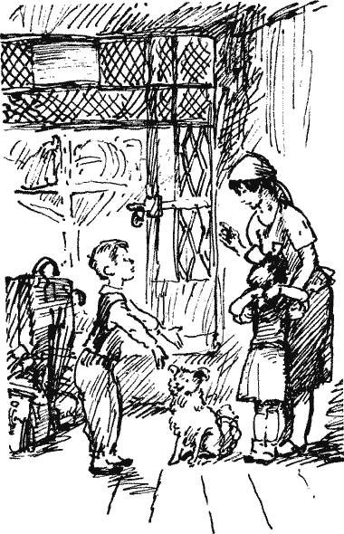 Чья это собака? - Novos122.png