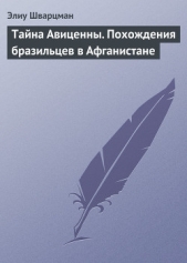  Шварцман Элиу - Тайна Авиценны. Похождения бразильцев в Афганистане