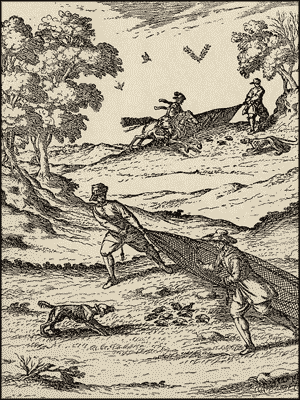 Пойнтеръ и его исторія - i_001.png