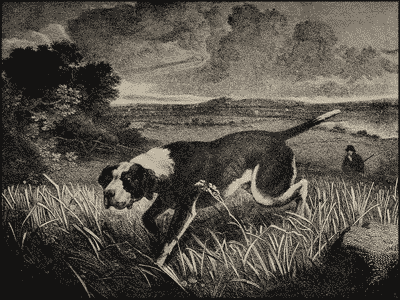 Пойнтеръ и его исторія - i_004.png