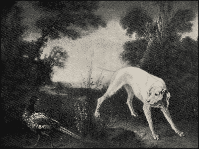 Пойнтеръ и его исторія - i_007.png