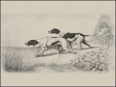 Пойнтеръ и его исторія - i_009.png