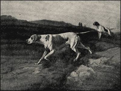 Пойнтеръ и его исторія - i_014.png