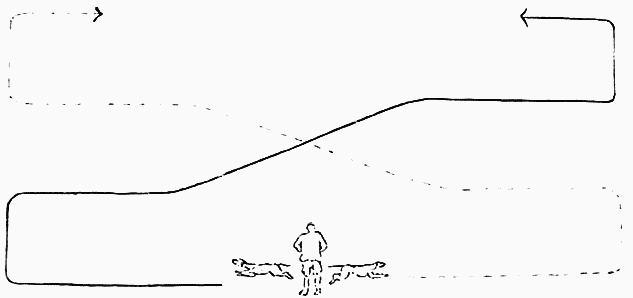 Пойнтеръ и его исторія - i_015.png