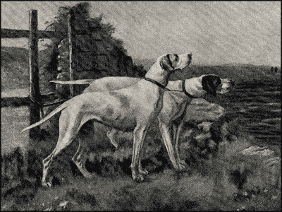 Пойнтеръ и его исторія - i_016.png