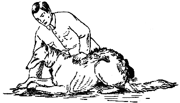 Борзые и охота с ними - i_026.png