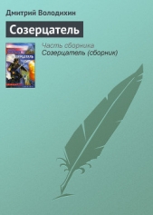 Созерцатель - автор Володихин Дмитрий Михайлович 