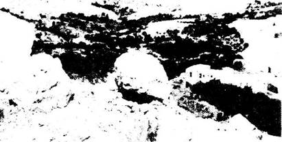 Обзор Ветхого завета - i_050.jpg