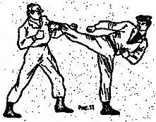 Боевое самбо и рукопашный бой для спецвойск - _234.jpg