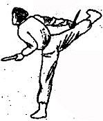 Боевое самбо и рукопашный бой для спецвойск - _346.jpg