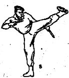 Боевое самбо и рукопашный бой для спецвойск - _357.jpg