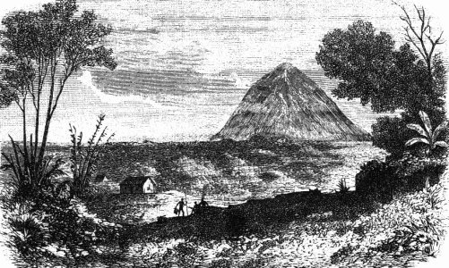 Чарльз Дарвин. Его жизнь и научная деятельность - i_009.jpg