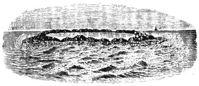 Чарльз Дарвин. Его жизнь и научная деятельность - i_011.jpg