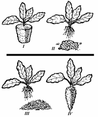 Гидропоника для любителей - doc2fb_image_03000010.png