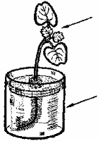 Гидропоника для любителей - doc2fb_image_03000012.png