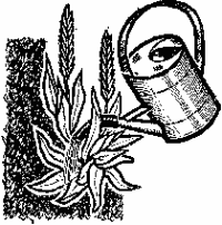 Гидропоника для любителей - doc2fb_image_03000015.png