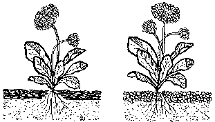 Гидропоника для любителей - doc2fb_image_03000018.png