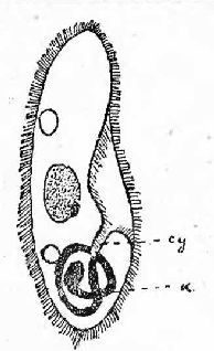 Вестник Знания (N5 1928) - pic_13.jpg