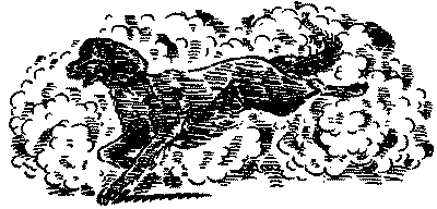 Красный, как огонь - i_005.png